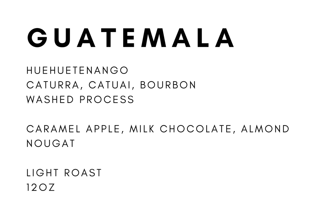 Guatemala Candelaria Washed