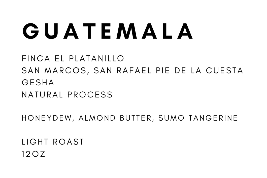 Guatemala El Mirador Gesha Natural